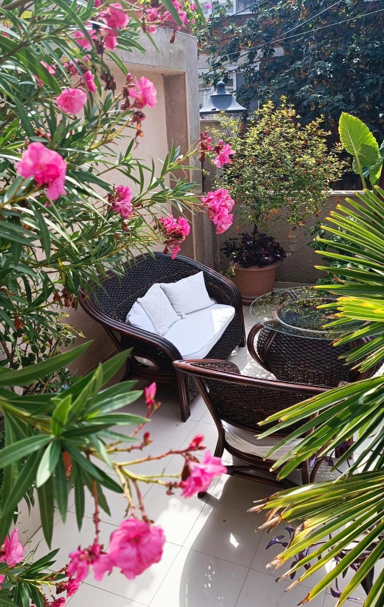 Villa Rosi Σωζόπολη Εξωτερικό φωτογραφία