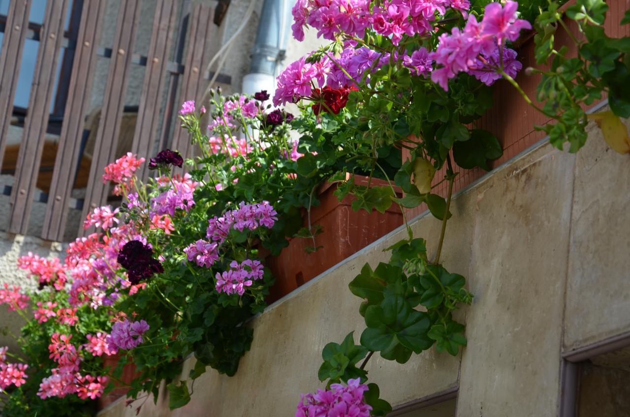 Villa Rosi Σωζόπολη Εξωτερικό φωτογραφία