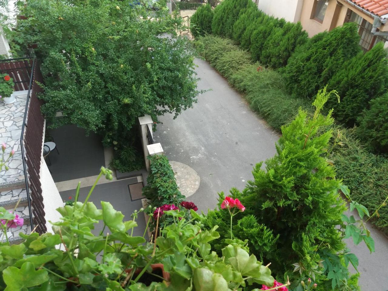 Villa Rosi Σωζόπολη Εξωτερικό φωτογραφία